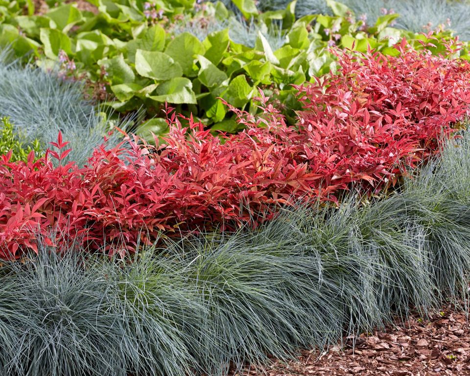 Inspiration Plantipp